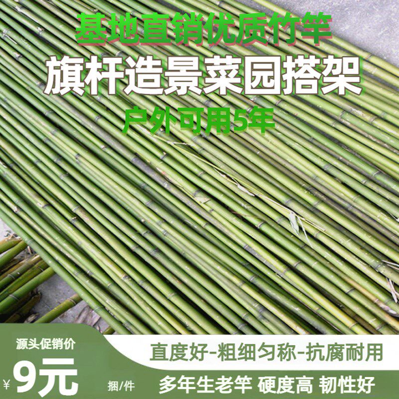 竹竿菜园搭架葡萄架蔬菜爬藤豆角架黄瓜长竹杆篱笆栅栏防腐细竹子
