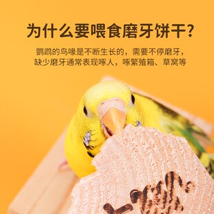 鹦鹉啃咬玩具松木饼干可替墨鱼骨玄凤虎皮牡丹零食磨牙棒鸟具用品