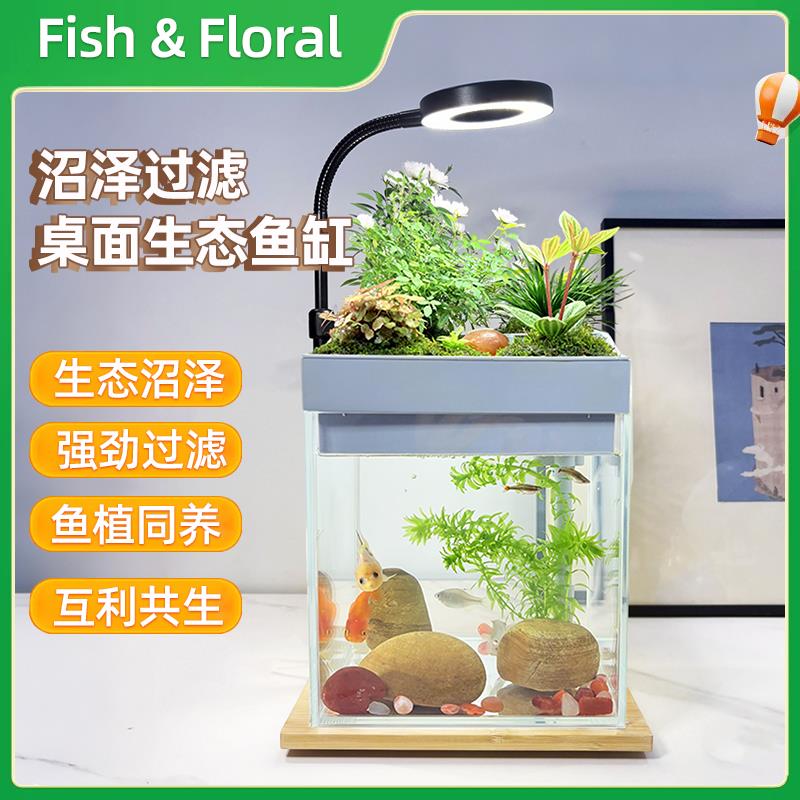 上部沼泽过滤斗鱼缸桌面生态自循环办公桌书桌水培植物造景小鱼缸