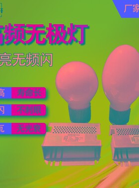 工厂高频低频无极灯镇流器电源80W120W150W200W 室内户外照明配件