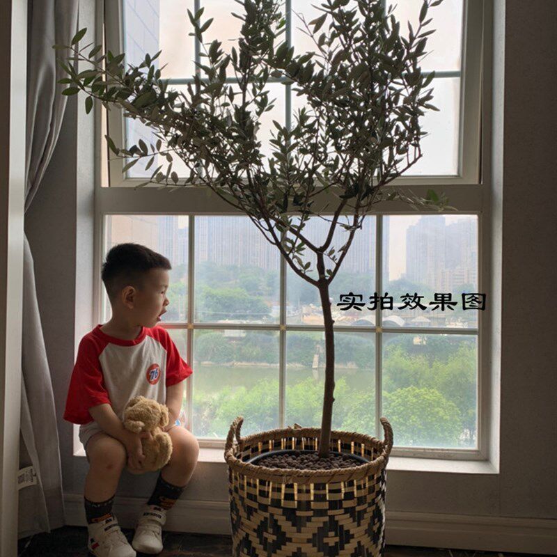 越南手工竹编框竹编花盆藤编编织花篮草编花盆篮筐篮子收纳筐花器