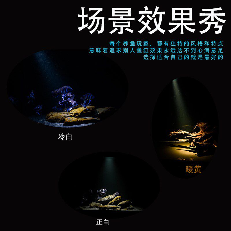 幽影鱼缸射灯三湖慈鲷南美缸原生溪流缸造景专用SR射灯水族支架