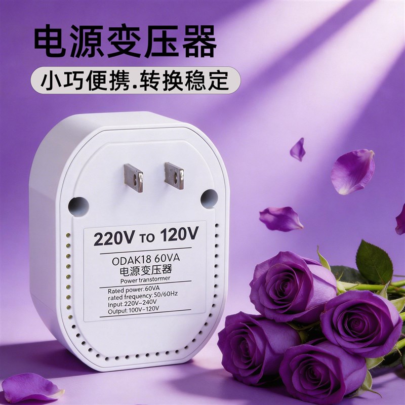 美国进口电器电源变压器220V转120V电压转换器110V转220V变100V伏