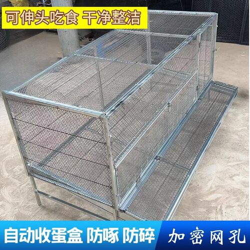鸡笼家用室内外铁丝网大号防雨防黄鼠狼新型下蛋鸡笼不锈钢养殖笼