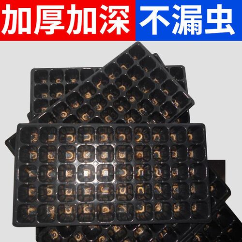 蛋白虫化蛹盘无孔育苗盘大麦虫面包虫养殖盘面包虫化蛹盒养殖盒
