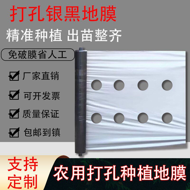 定制打孔地膜带洞眼农用塑料薄膜蔬菜双色银黑地膜防草率