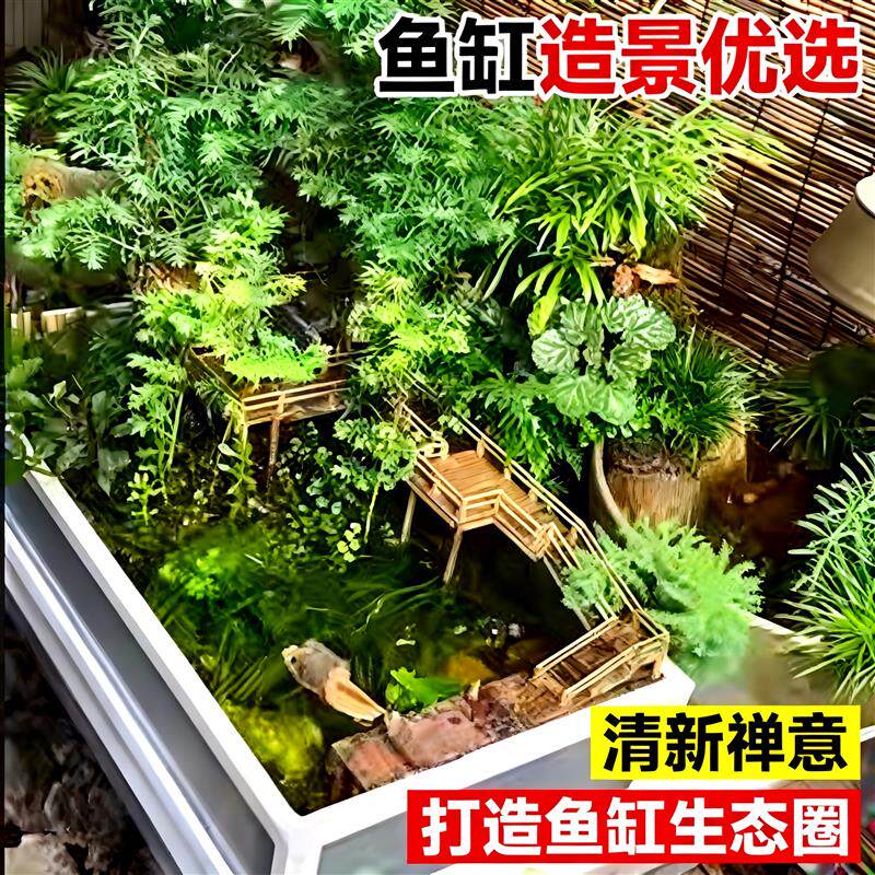 水杉水培苗鱼缸溪流缸造景室内外鱼池水生绿植盆景水草专用种苗