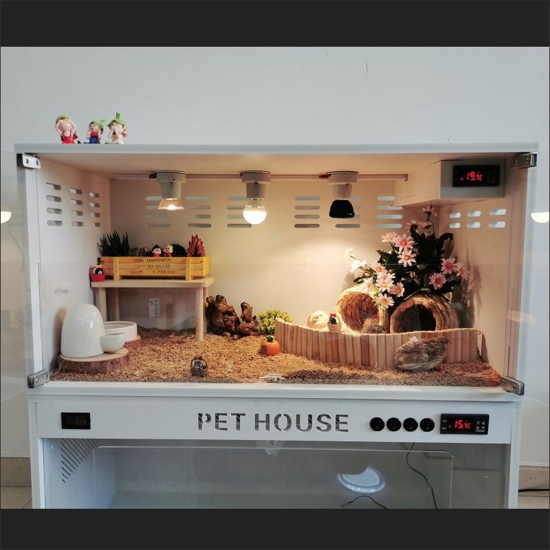 PVC爬箱芦丁鸡迷你刺猬宠物恒温饲养箱智能造景小鸡鹦鹉育雏保温