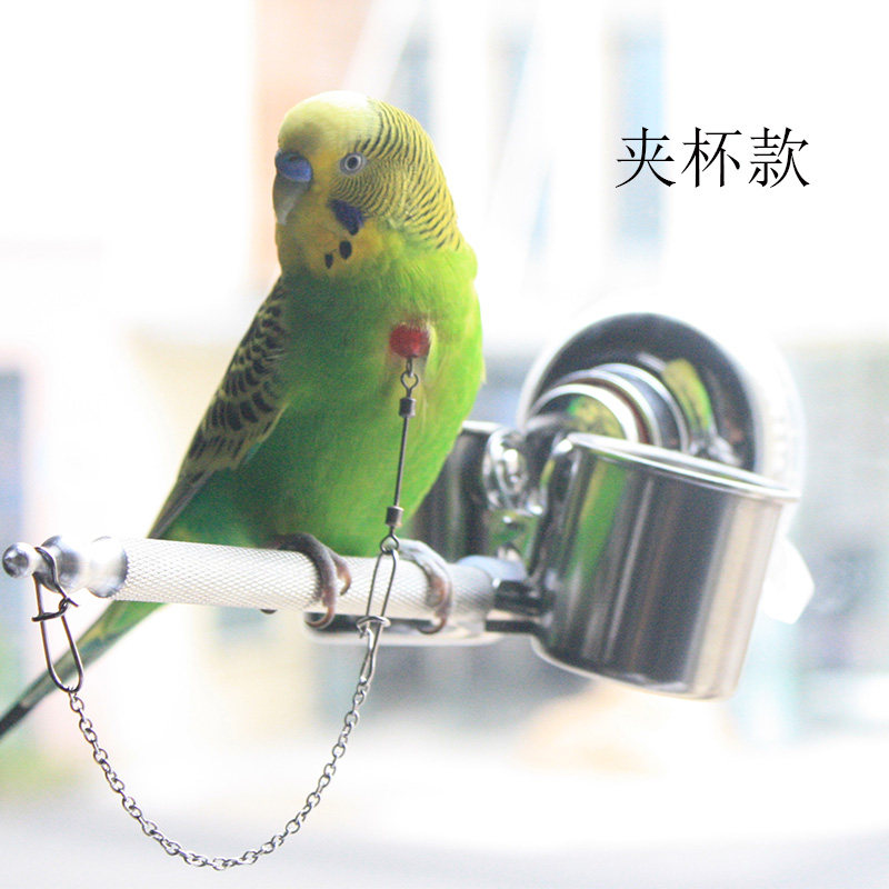 鹦鹉站架 车载磨爪棒站架 外出铝站架 洗澡吸盘训鸟站架 脖套脖绳