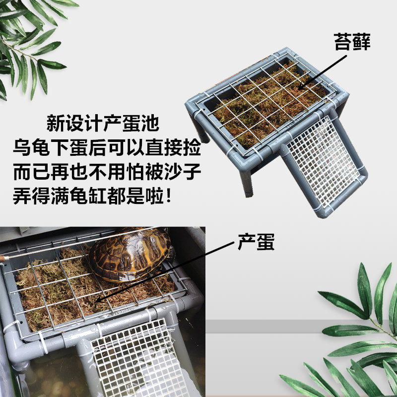 养龟箱龟缸乌龟产蛋池产蛋繁殖箱孵化下蛋盒下蛋箱晒台爬台diy新