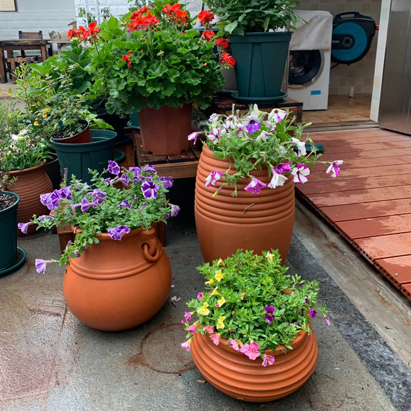 【特价包邮】陶罐红陶花盆陶土花盆粗陶陶盆红陶盆庭院落地大花盆