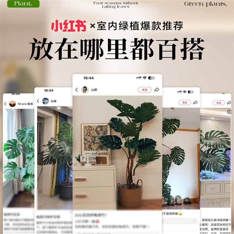 龟背竹客厅大盆栽老桩大叶室内大型落地绿植物高级感盆景懒人好养