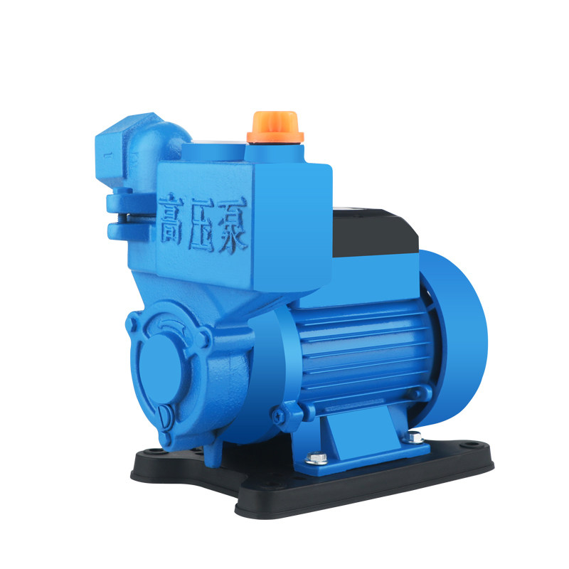 无刷直流自吸泵12v24v48v72v农用电瓶车便携式船用灌溉浇菜抽水机