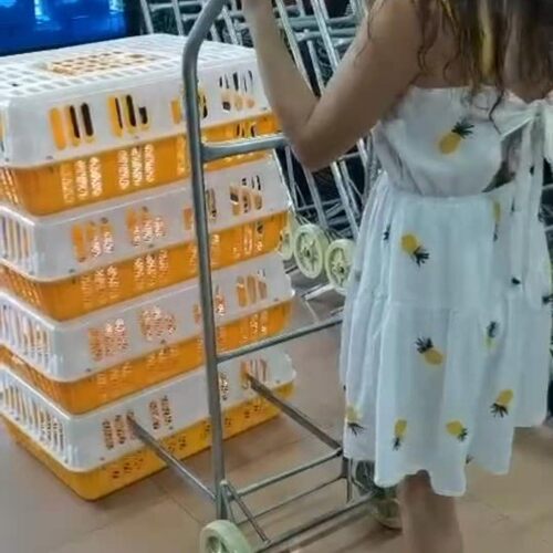 叉鸡笼车鸡鸭鹅家禽手推车鸡笼运输车叉鸡车农用手拉插鸡笼车包邮
