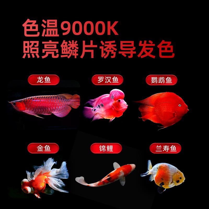 老渔匠增艳鱼缸灯led灯防水三基色红龙增色灯鹦鹉金鱼锦鲤发色灯