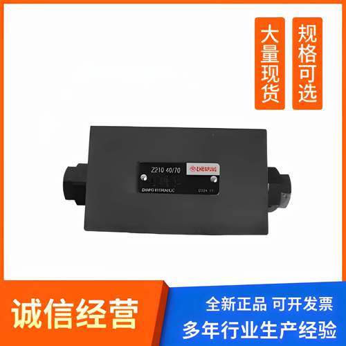 原装ZHENPING液压阀4WE10H31/70CG24NZ5L电磁阀Z210 40/70节流阀