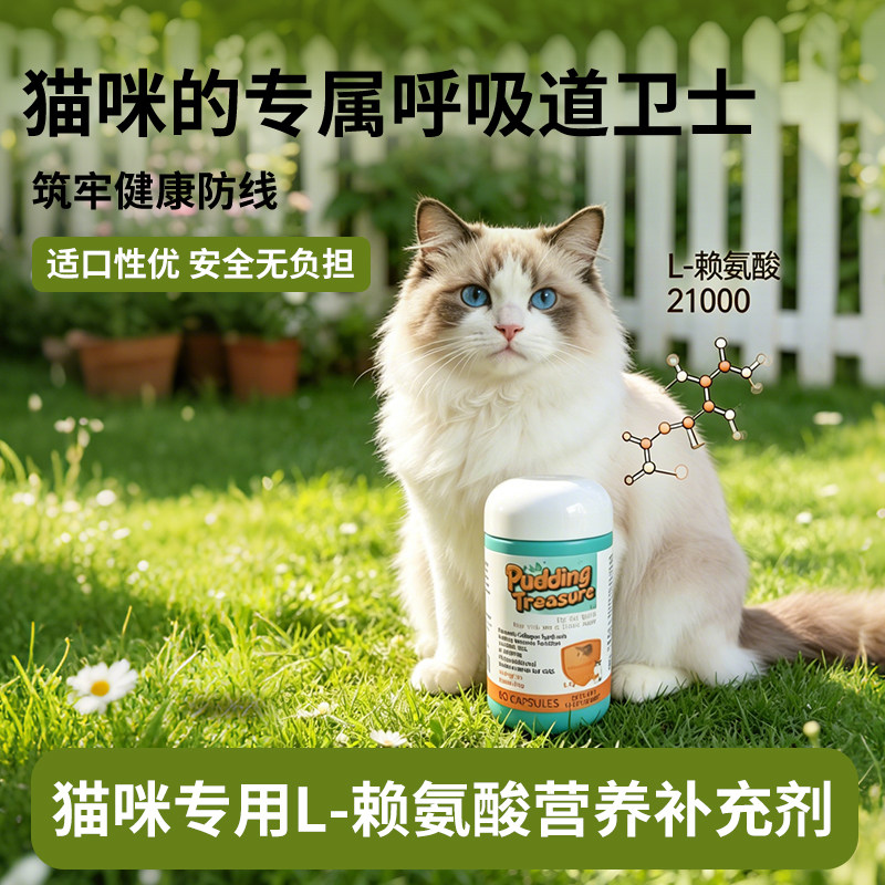 布丁元宝L-赖氨酸猫咪专用营养补充剂辅助呼吸道健康海外生产进口