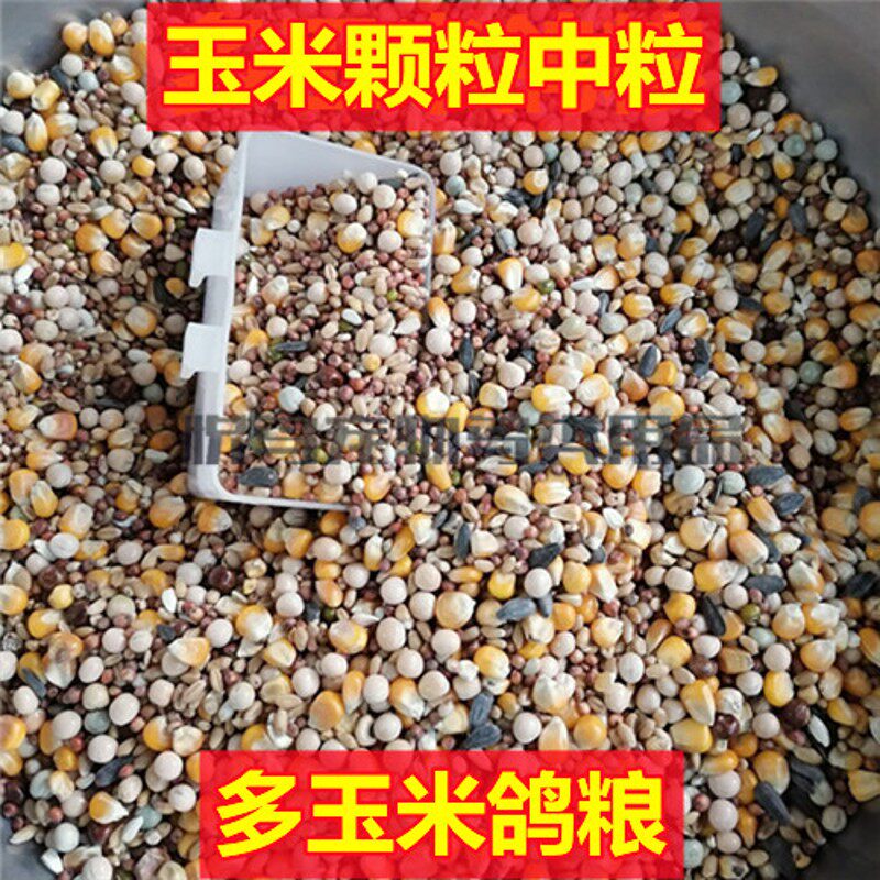 多玉米鸽子粮50斤 鸽粮广东包邮 鸟食信鸽肉鸽免邮饲料 赛鸽观赏