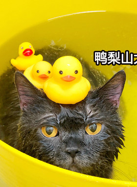 大型猫咪洗澡盆宠物浴缸用药沐浴泡澡小型犬洗浴盆猫窝收纳桶包邮
