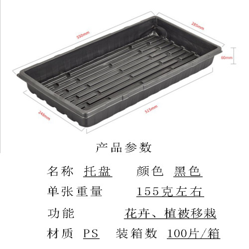 无孔底托接水盘透明盖子扦插嫁接浸盆托盘水培芽苗菜种植盘穴盘托