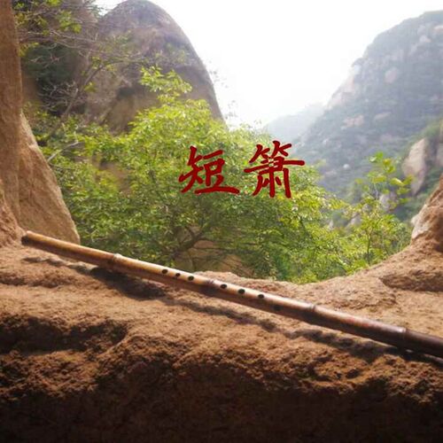 梧桐箫 短箫 洞箫 梧桐专业短箫箫 特级箫 素箫 洞箫 手工箫 古朴