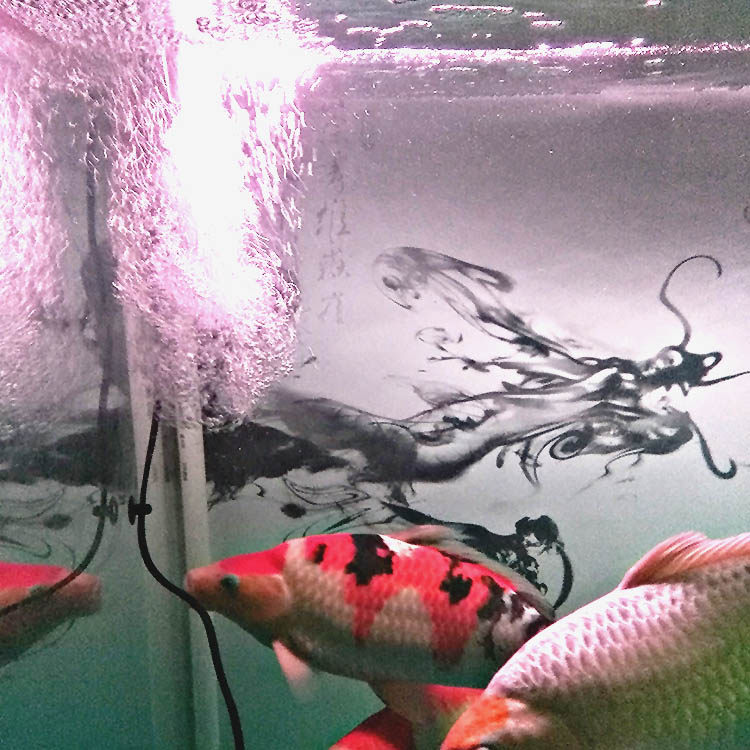 增氧器氧气泵充氧打氧文氏管加氧制氧静音水族增氧鱼缸增氧大气量