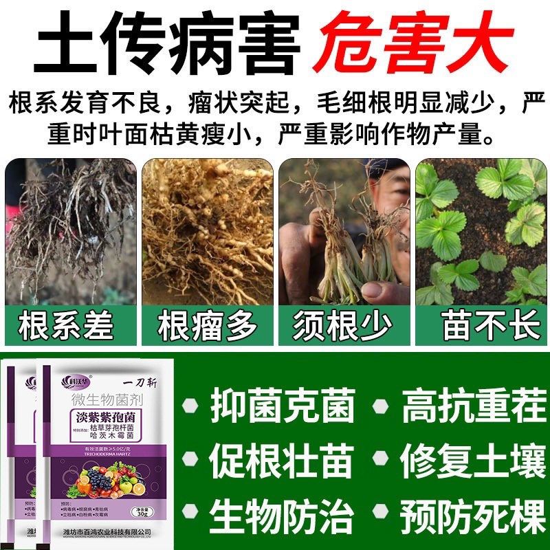 土壤专用消毒杀菌剂菜地大棚抗重茬防治烂根死苗病虫害微生物杀菌