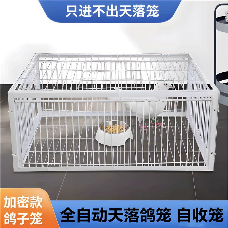 捕鸽神器只进不出鸟笼全自动天落笼子撞门抓野外户外收鸽子笼跳笼图片