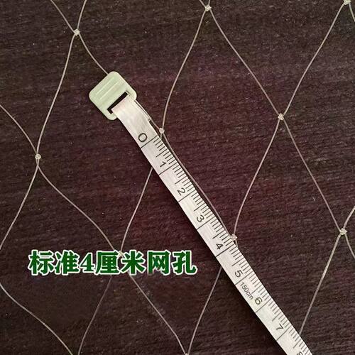 鱼塘用尼龙防鸟网4公分5公分网孔防大鸟天网专用青蛙泥鳅龙虾用网