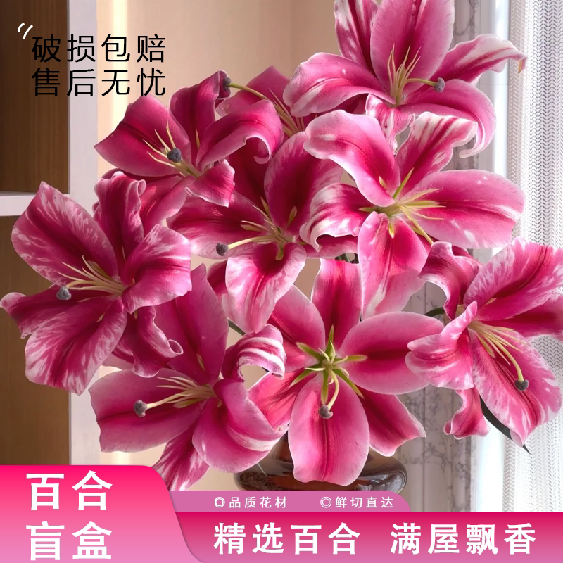 香水百合随机百合盲盒云南基地保鲜直发室内家居办公室水培花束