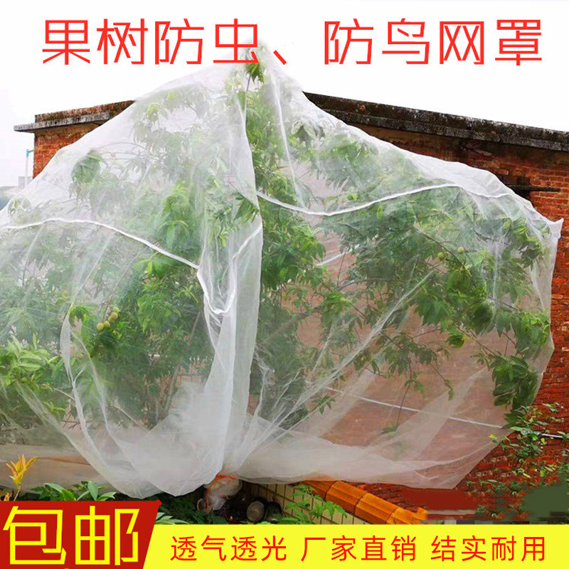 植物防虫网罩樱桃杨梅果树防虫防鸟网套蔬菜水果防果蝇套袋网纱网