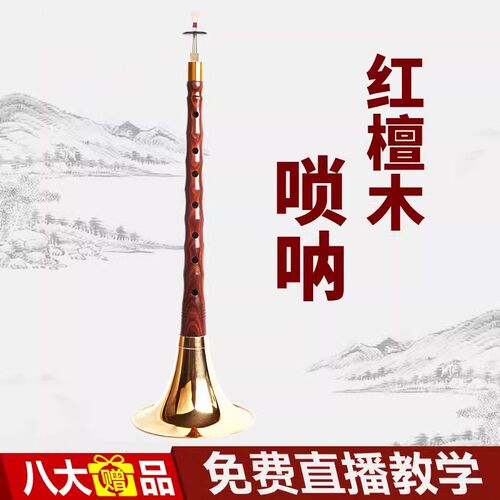 红檀唢呐乐器全套唢呐乐器初学者专业演奏型专业唢呐D调喇叭