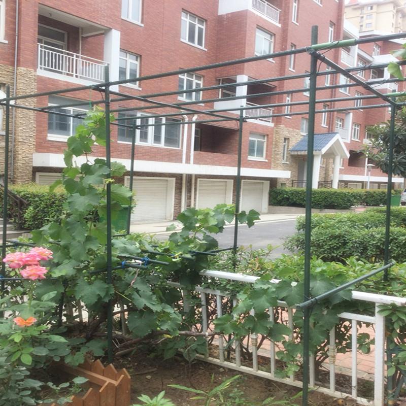 葡萄豆角黄瓜架爬藤架种菜架子花卉植物支架户外攀爬花园阳台支架