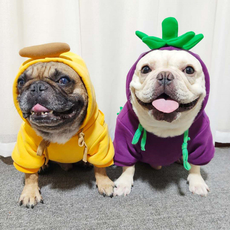 法斗衣服狗狗秋冬季装加厚水果卫衣中小型犬泰迪巴哥柯基保暖加绒