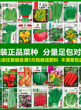 四季播种蔬菜种子大全正规厂家