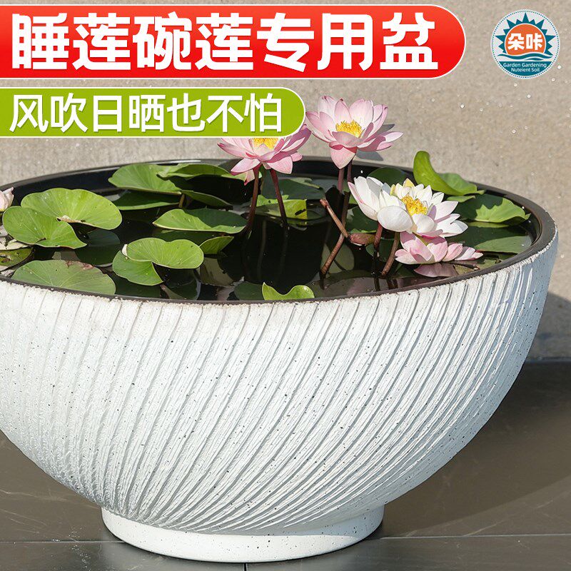 碗莲盆荷花盆缸大号塑料家用铜钱草一叶莲睡莲水培无孔水养花盆