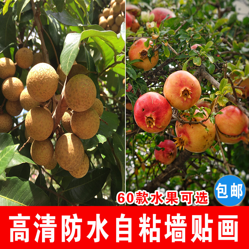新品蔬菜水果海报贴画店铺墙壁装饰墙纸自粘海报定制大幅墙画贴纸