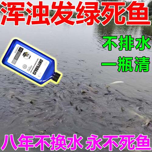 鱼塘改底解毒改善水质净化剂池塘变清除藻去绿去苔剂除铁锈水油膜