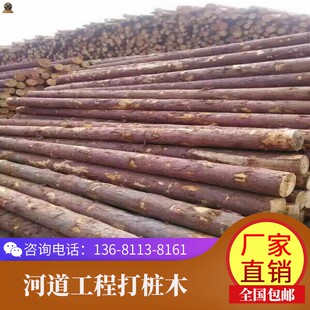 落叶松原木桩河道防汛6米打桩木土建地基7米桩木绿化景观4米原木