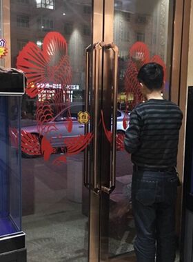 红龙鱼贴纸玻璃门镂空防水装修贴纸l水族ogo设计观赏鱼背胶贴壁纸