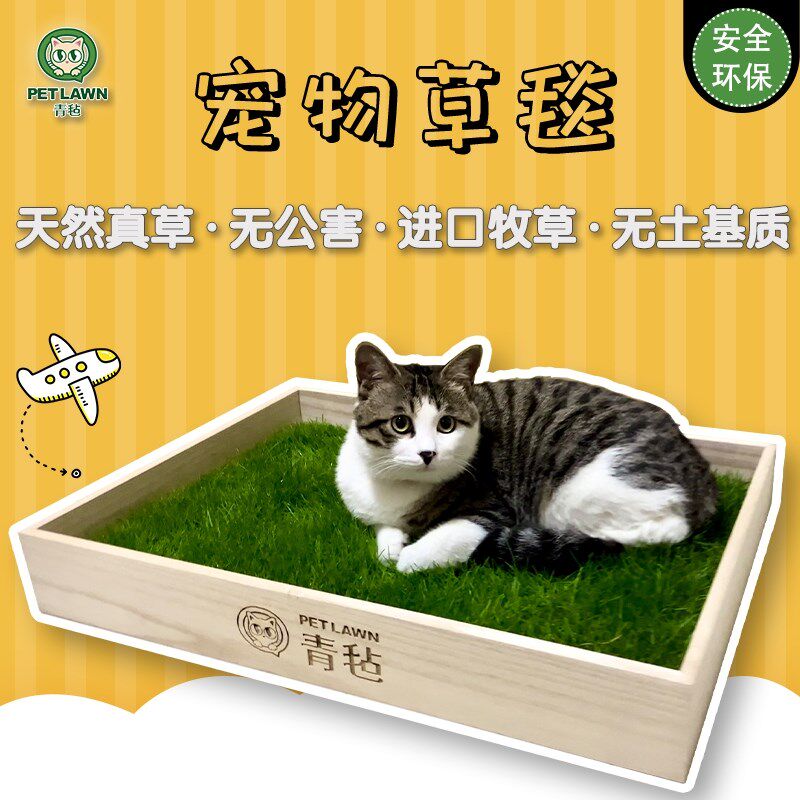 青毡多功能真草草毯/猫狗异宠通用/吸水除味可食用