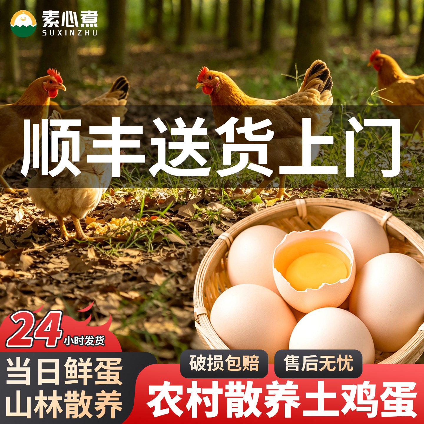 素心煮散养新鲜土鸡蛋30枚整箱批发笨鸡蛋纸盒装无腥味顺丰包邮