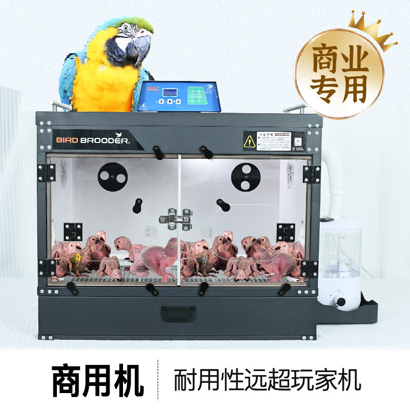AODL黑尖鹦鹉保温箱恒温智能控温雏鸟专用带加湿器家用育雏饲养箱