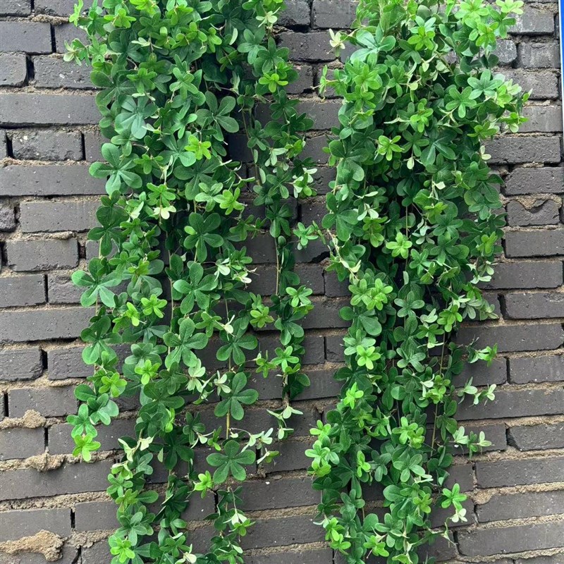 仿真招财叶藤条壁挂垂吊花塑料藤蔓植物绿植吊篮绿叶墙面装饰藤条