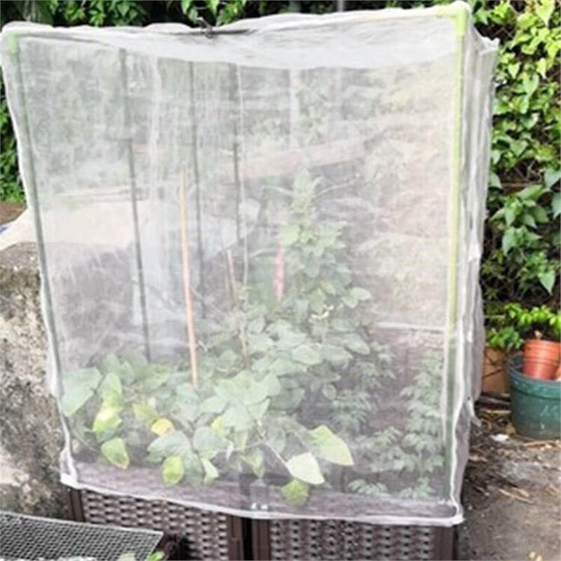 防虫网罩樱桃杨梅蓝莓果树防鸟防果蝇防蚊袋透气透光带绳子抗老化