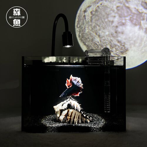 小型创意暗黑风超白鱼缸高级专用斗鱼缸生态造景桌面缸恒温水族箱