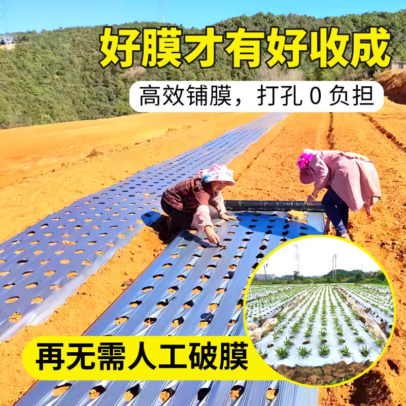 地膜农用种植种菜专用塑料薄膜防草塑料袋定制打孔透气果园