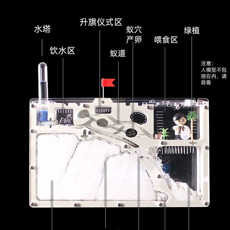 蚂蚁城堡 生态箱蚁村宠物蚂蚁工坊部落家园王国宫殿别墅沙子蚁巢