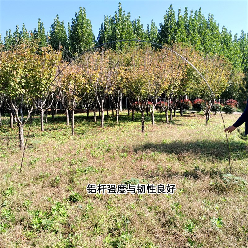 帐篷铝杆7001航空铝合金多人支撑杆便携式折叠杆结实轻便加粗11mm