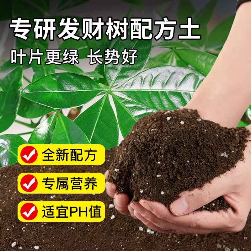 种养发财树专用土营养土花土盆栽土壤发财树肥料专用肥泥土种植土